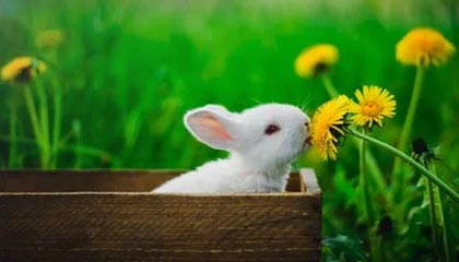 低調看直播-从“苏超”到“滇超”，一场仍在扩展的城市足球实验